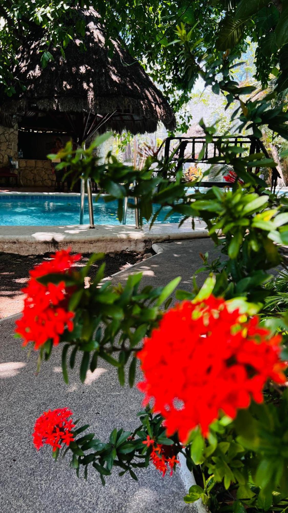 Mayan Art Hotel 10 Avenue Плайя-дель-Кармен Екстер'єр фото